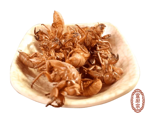 蟬蛻