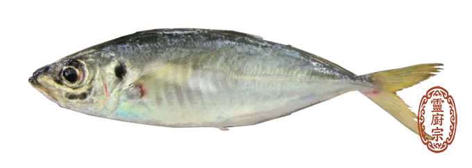 竹筴魚