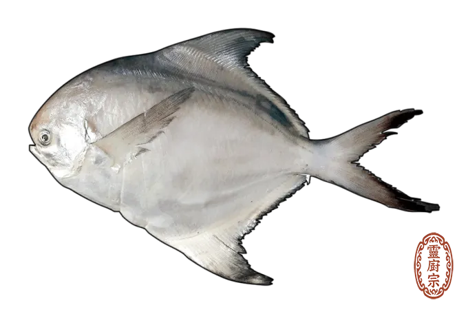 銀鯧魚