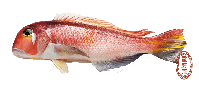 Tilefish