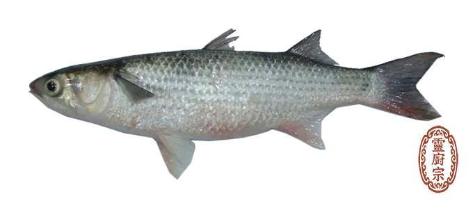 烏魚