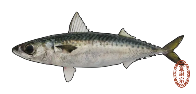 Blue mackerel