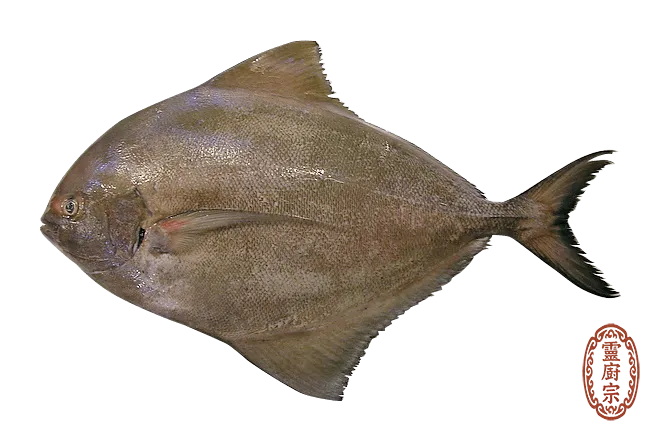 Black Pomfret