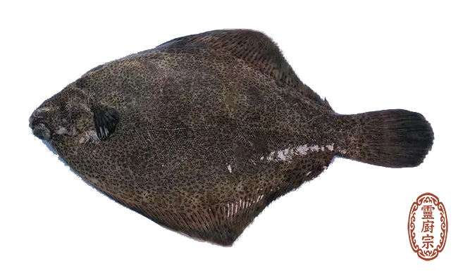 比目魚