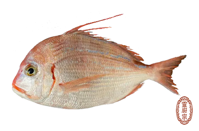 盤仔魚
