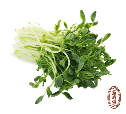 豌豆苗