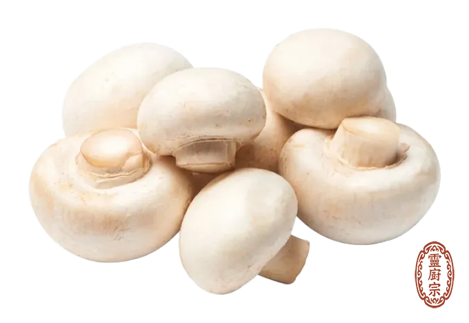 雙孢蘑菇