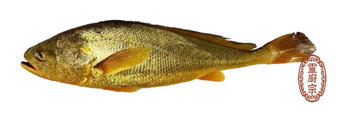 大黃魚