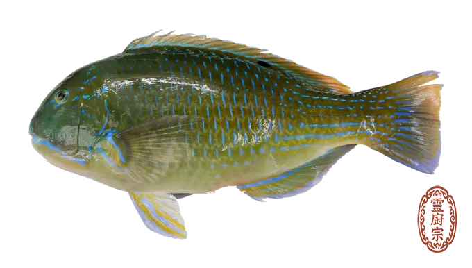 石硓魚