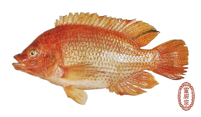 紅羅非魚