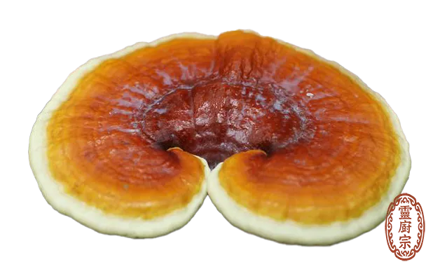黄霊芝