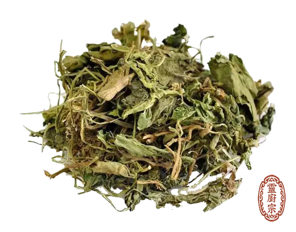 紫花地丁