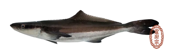 海鱺魚
