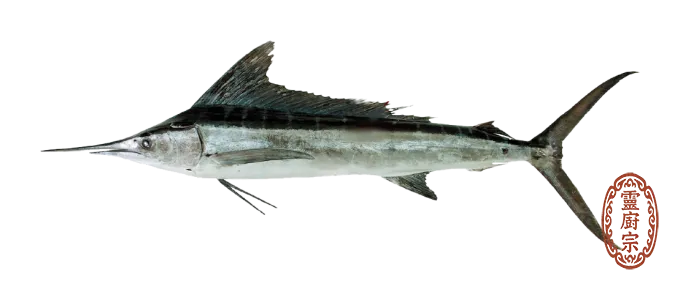 旗魚