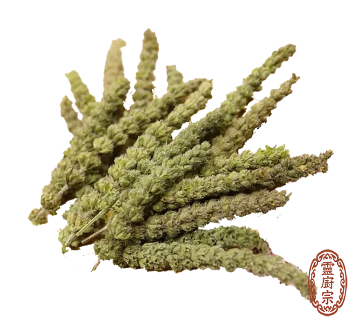 荊芥