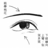 面相 - 淫蕩相
