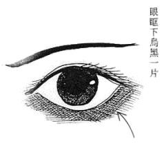 第一章淫荡相 - 金之钗 - 金之钗博客