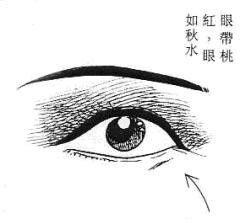 第一章淫荡相 - 金之钗 - 金之钗博客