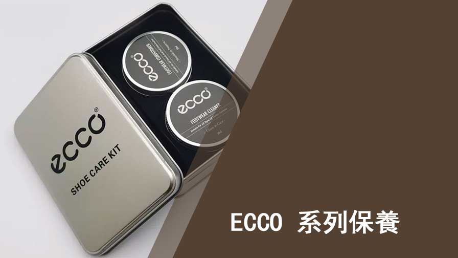 ECCO 保养