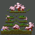 烏鴉樹林<2>